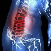 colonna vertebrale pranayama