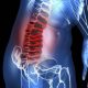 colonna vertebrale pranayama