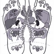 riflessologia plantare