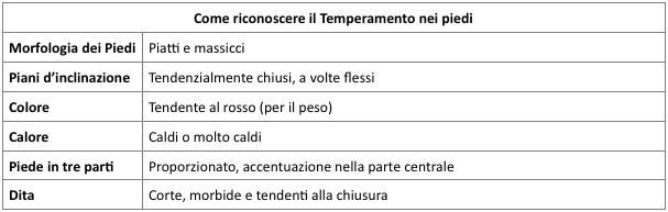 temperamento flemmatico quieto