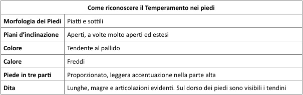 temperamento malinconico riflessivo