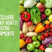 alimenti e temperamento